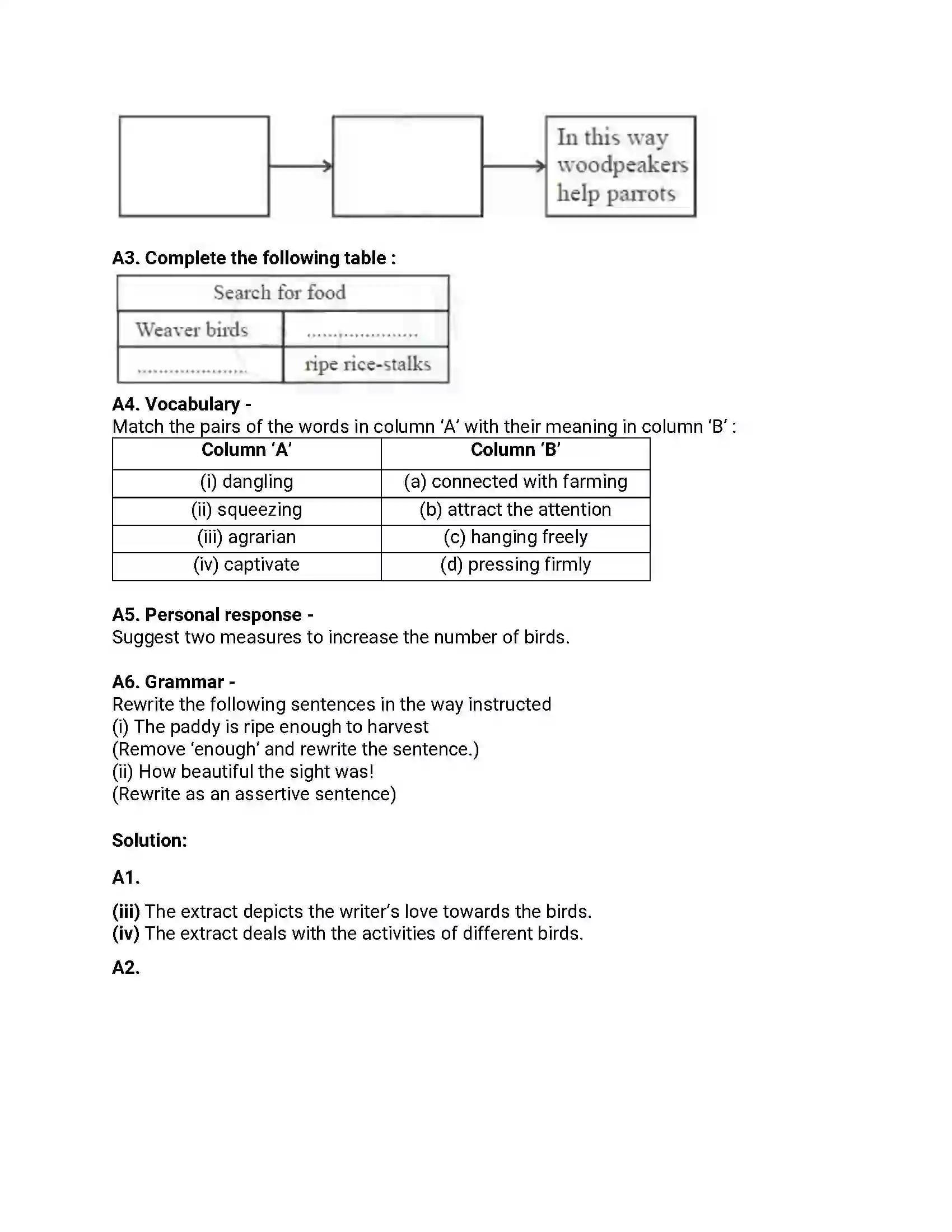 Maharashtra Board Class 12th 2019 English - Feb 2019 - Set-A Previous Year Paper 2