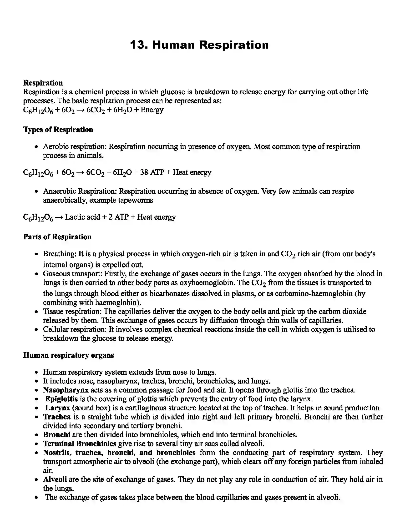 Maharashtra Board Class 11th Biology Human Respiration Revision Note 1