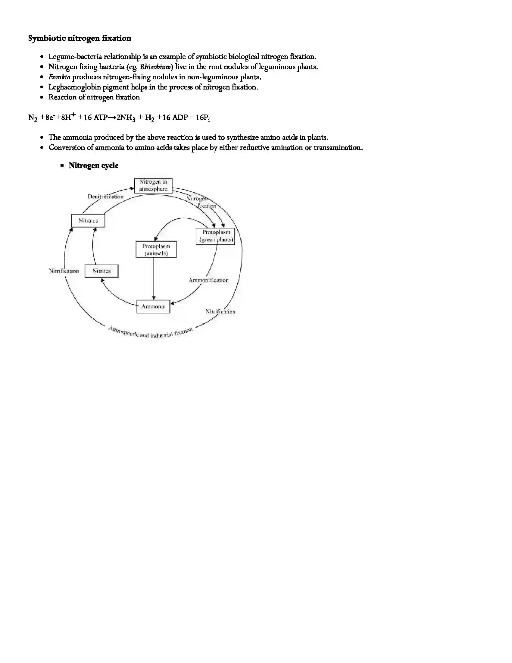 Maharashtra Board Class 11th Biology Plant Water Relations and Mineral Nutrition Revision Note 4
