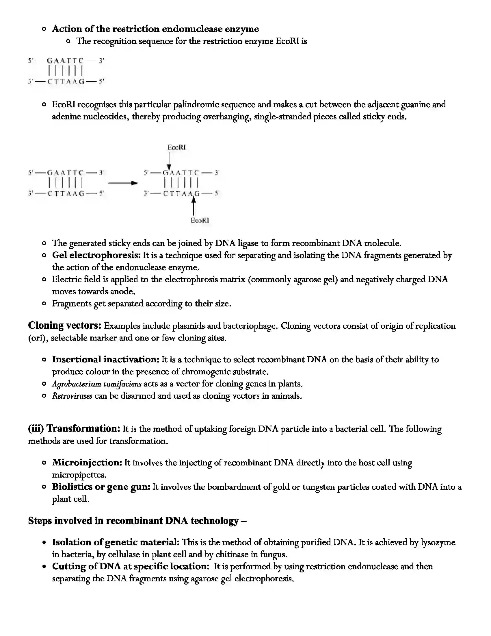 Maharashtra Board Class 12th Biology Biotechnology Process and Application Revision Note 2