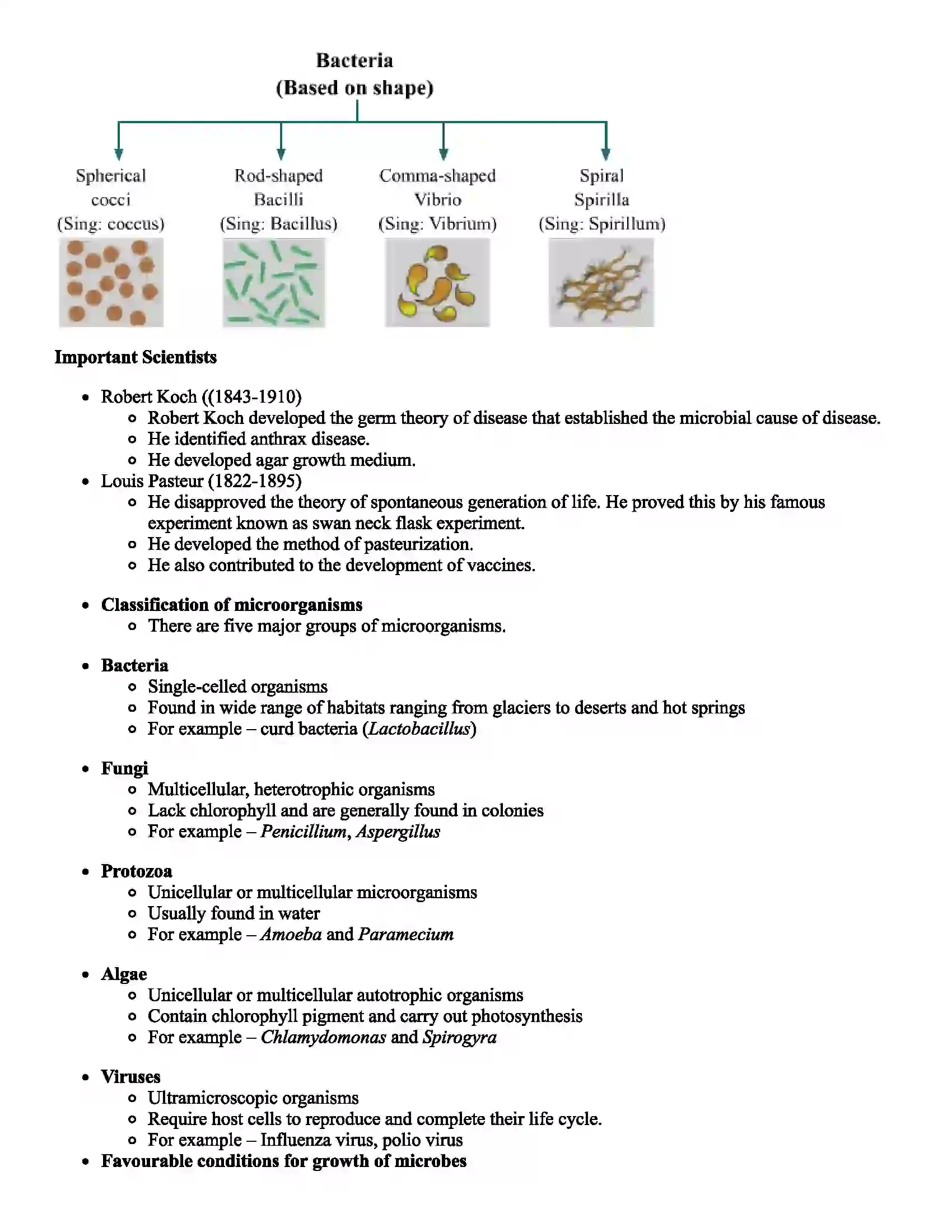 Maharashtra Board Class 7th Science Cell Structure and Micro-organisms Revision Note 7