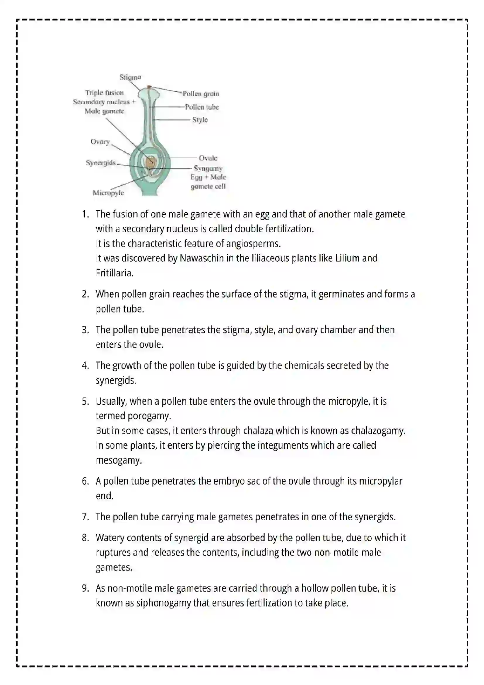 Maharashtra Board Class 12th 2025 Biology Set - 1 - Sample Paper 20