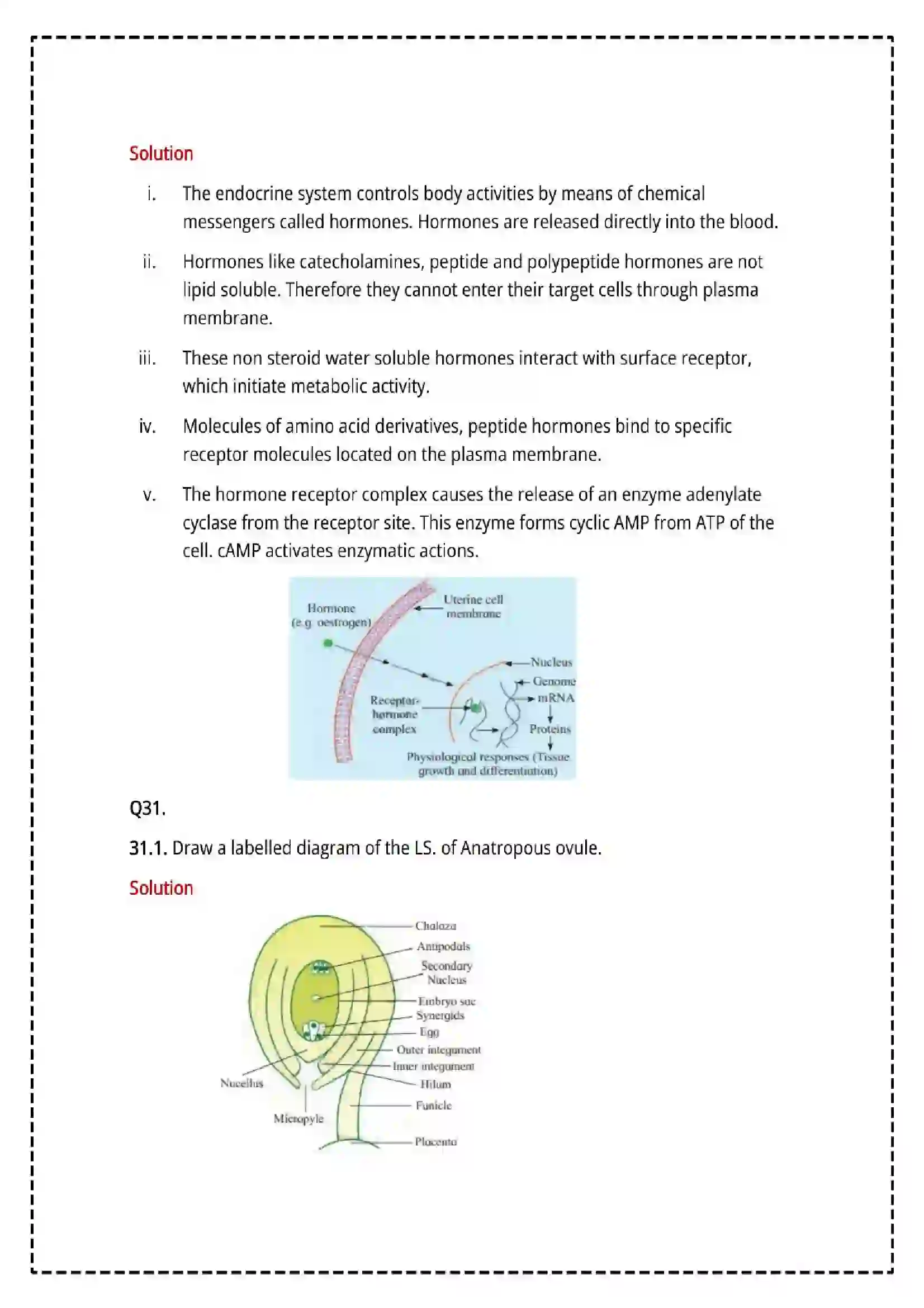 Maharashtra Board Class 12th 2025 Biology Set - 1 - Sample Paper 23