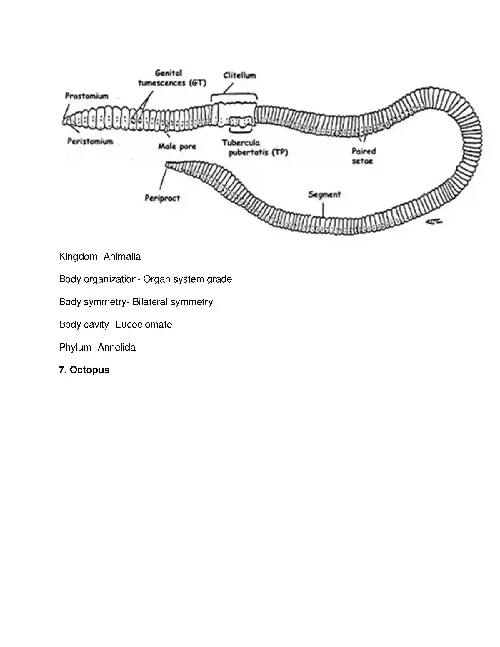 Maharashtra Board Class 10th Science & Technology-II - English Medium Animal Classification Solution 14