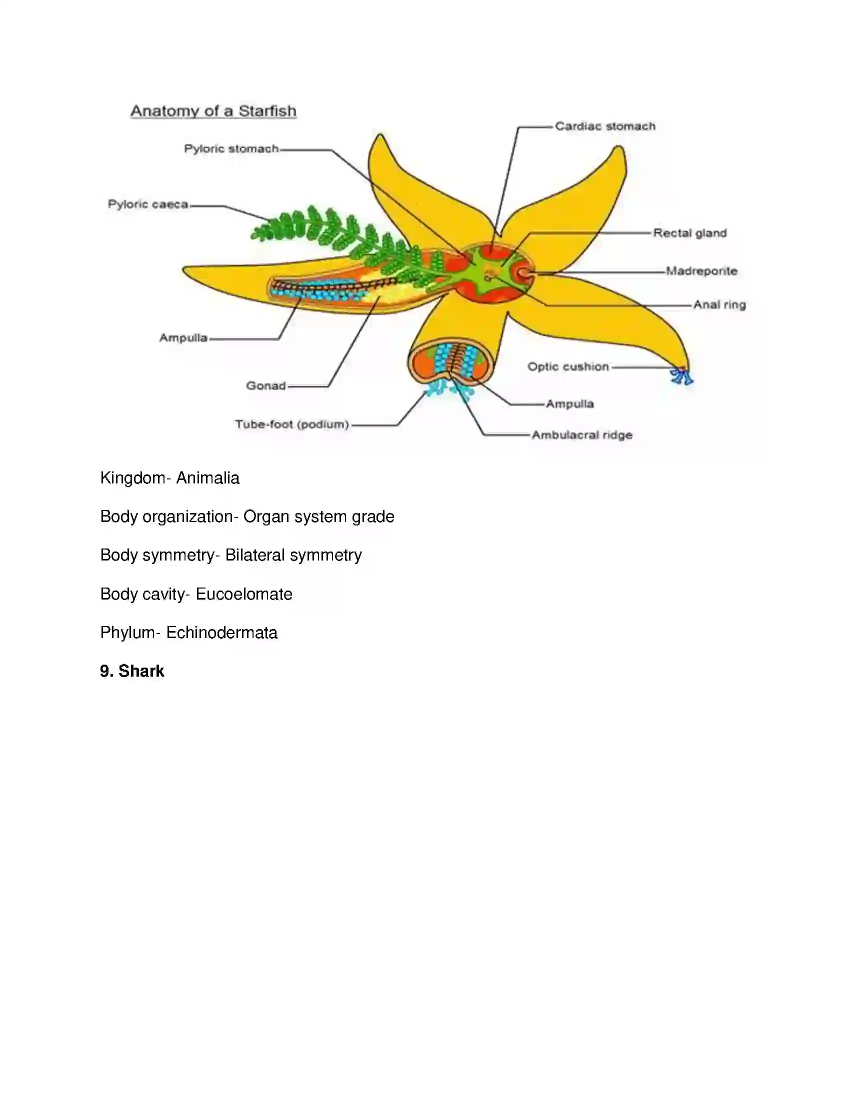 Maharashtra Board Class 10th Science & Technology-II - English Medium Animal Classification Solution 16